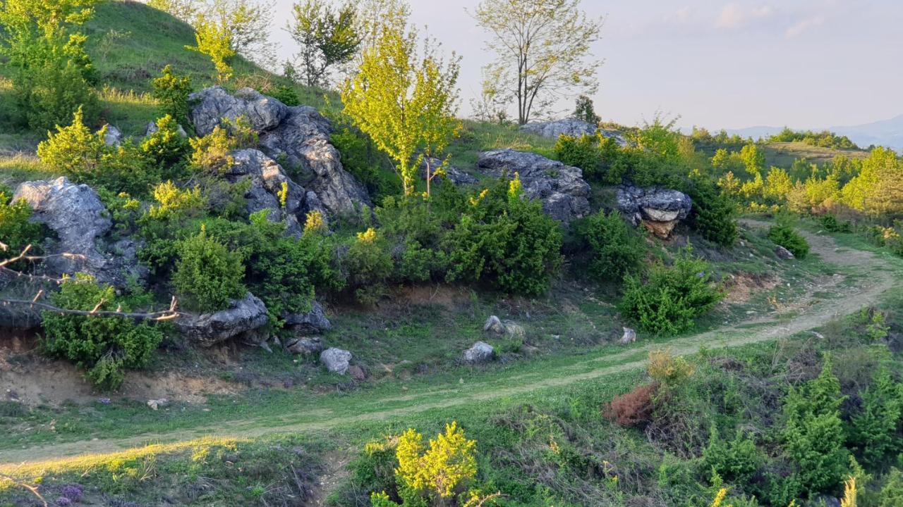 Hotel Бялата Къща Chakalarovo Exteriér fotografie